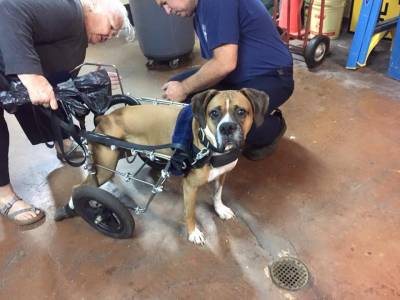 Help Us Find the Stolen Wheels!