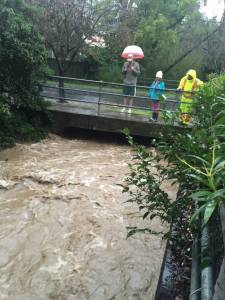 Creek Gauge Installed on Sleepy Hollow Creek