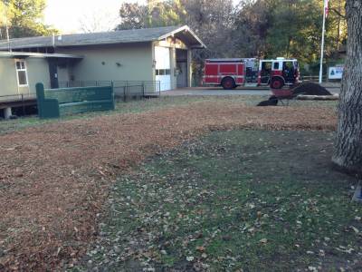 RVFD Builds Community Demonstration Garden at Station 20